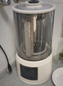 蓝宝（BLAUPUNKT）【全网热销】德国蓝宝破壁机家用豆浆机全自动免煮3-4人大容量小型自清洗榨汁机婴儿辅食机 【旗舰爆款】02PRO 实拍图