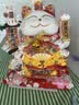 科德士宠物电推剪狗狗剃毛 电推子美容造型宠物用品全犬种 KP-3000白色 实拍图