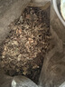 弘礼堂鱼腥草500克 鱼腥草茶草干泡水凉茶 鱼腥草折耳根代茶饮中药材 实拍图