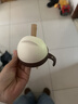 世喜奶瓶配件奶嘴瓶身水杯保温杯直饮吸管配件合集 儿童吸管杯吸管嘴（直饮款） 实拍图