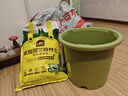 史丹利花盆家用树脂塑料盆栽加厚多肉月季阳台庭院加仑盆苹果绿高281mm 实拍图
