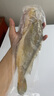 1号会员店（One's Member）【山姆同厂】冷冻宁德三去黄花鱼 大黄鱼700g/2条装 生鲜水产鱼类 实拍图