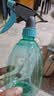 喷壶浇花浇水喷雾器气压式喷水壶家用园艺养花500ml 南瓜喷壶透蓝【2个装】 实拍图