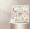 飞雕（FEIDIAO）灯暖浴霸集吊系列两档取暖照明换气FD/DHZ305-05W 实拍图