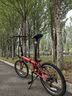 大行（DAHON）折叠自行车20寸8速男女折叠车P8青春版KAC081 消光红 实拍图