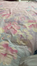 Hello Kitty儿童内裤女童宝宝小女孩5条装平角底裤短裤 KTN254花色155/3XL 实拍图