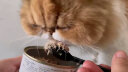 爱普士猫罐头 成猫幼猫罐头猫湿粮 猫咪貓罐猫粮罐头鸡肉鱼肉罐头 156g*24罐混搭口味 实拍图