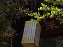 索尼（SONY）ZV-1 口袋相机 约2010万有效像素 美肤拍摄/强悍对焦/学生入门/Vlog/4K视频 ZV1 黑色 实拍图