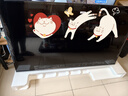 TCL电视【价保618】 55T5M 55英寸 QD-Mini LED控光 240Hz高刷 QLED量子点 WiFi6 实拍图