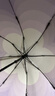 RUMBRELLA日全时智能电动雨伞全自动一键全收遮阳晴雨两用防晒防紫外线伞 实拍图