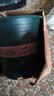 花大爷三代加仑盆控根透气塑料盆室内阳台绿萝盆栽种植专用花盆 第三代高1加仑【口径16cm】1个盆 不带托盘 实拍图