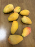 佳沛（zespri）新西兰  阳光金奇异果6粒装 单果约88-103g 猕猴桃水果礼盒 实拍图