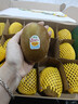 佳沛（zespri）新西兰阳光金奇异果巨大果15粒礼盒 单果146-175g 猕猴桃水果礼盒 实拍图
