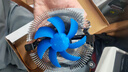 超频3（PCCOOLER）青鸟3 CPU散热器（多平台/9CM风扇/ITX散热器/下吹式/附带硅脂） 实拍图