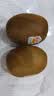 佳沛（zespri）新西兰 阳光金奇异果12粒特大果单果124-146g 猕猴桃水果礼盒 实拍图