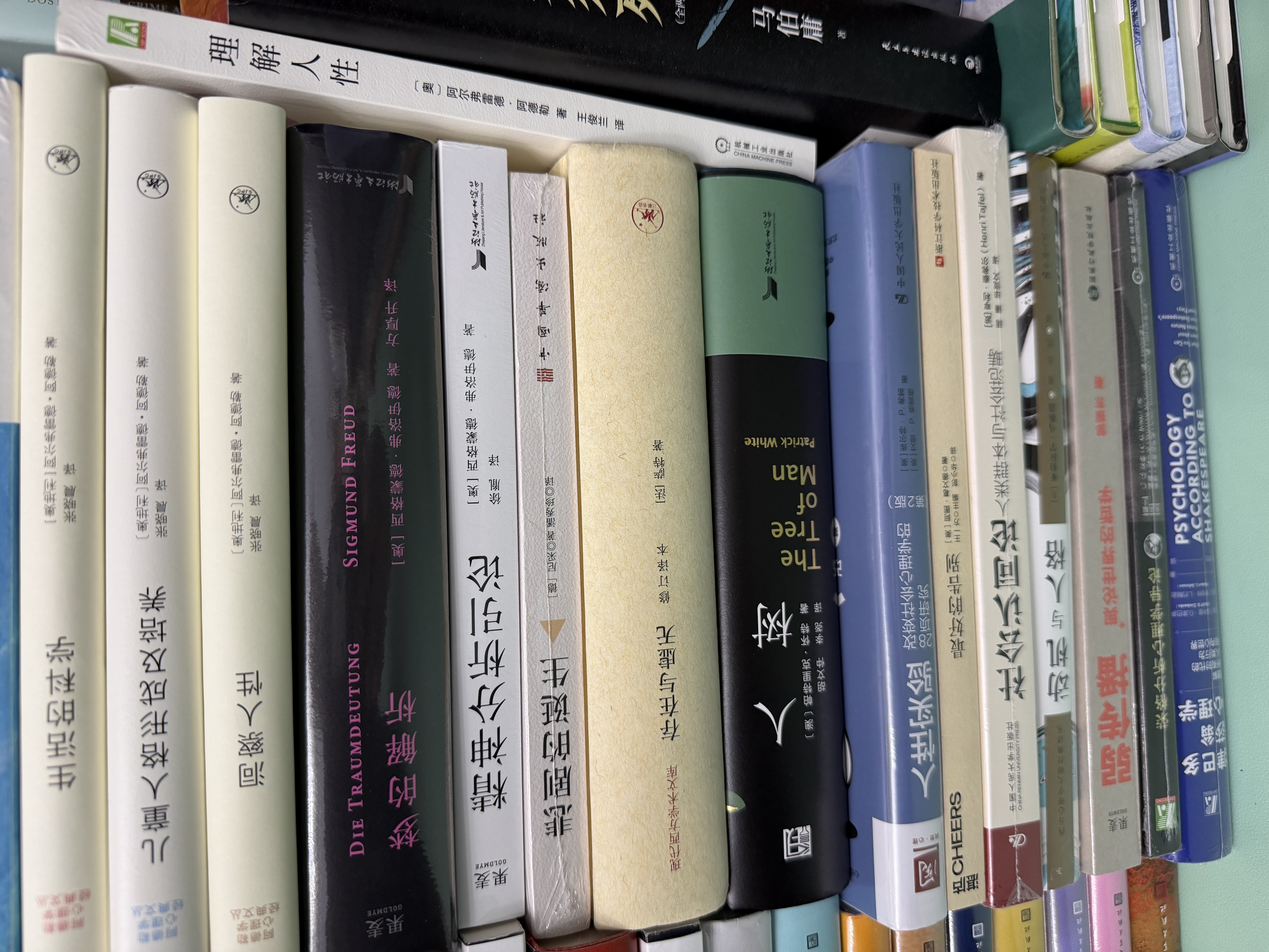 个人形成论——我的心理治疗观（当代世界学术名著）写给“有智慧的普通人的书心理创伤疗愈中的大脑、心智和身体 全新印刷 人人必读的心理学经典 心理创伤治疗大师集大成之作 实拍图