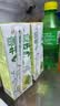 宾格瑞哈密瓜味牛奶 韩国原装进口牛奶 饮料 儿童学生早餐奶200ml*6 实拍图