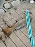 赖微鱼竿快速收线器新型前堵绕线神器鱼钩鱼线浮鱼漂主线子线组杆收纳 优化版【1套】 实拍图