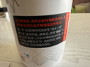 九阳（Joyoung）【重磅新品】小鲜杯豆浆机迷你便携小型豆浆杯全自动智能免煮免滤破壁机榨汁机家用多功能PR1326 实拍图