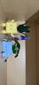 乐高（LEGO）积木拼装10349 快乐盆栽男女孩儿童玩具520送男女朋友礼物摆件 实拍图