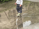 Kocotreekk树儿童雨鞋卡通防滑防水鞋男童女童宝宝雨靴束口 实拍图
