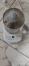 九阳（Joyoung）养生壶迷你玻璃花茶壶煮茶器 12大功能11档温度 0胶水恒温电热烧水壶1.5L 1506BQ 实拍图