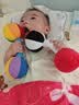 jollybaby婴儿视力追视宝宝手抓球触觉感知摇铃球类玩具-训练哑铃-黑白红 实拍图