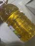 金龙鱼 食用油 非转基因 压榨 一级 纯正玉米油4L（新老包装随机发货） 实拍图