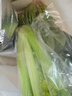 大菠菜300g 实拍图