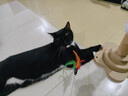 HELLOJOY猫抓柱剑麻猫抓板猫玩具耐抓耐磨不掉屑猫爬架立式自嗨解闷用品 实拍图