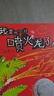 我变成一只喷火龙了！ 情绪管理好帮手 亲子共读佳作 首届丰子恺大奖 绘本大师 赖马畅销作品 3-6岁（启发出品）六一儿童节礼物女孩男孩暑假作业 一升二暑假衔接 小升初暑假衔接  实拍图