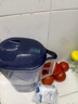 碧然德（BRITA） 家用滤水壶 净水壶滤芯 Maxtra 多效滤芯 3枚装 实拍图