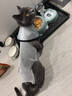 迈路士猫粮牛肉味鱼肉味成猫幼猫通用型全价全阶段猫粮营养均衡猫主粮 牛肉味冻干七拼猫粮（50%冻干） 10斤（发2包5斤） 实拍图