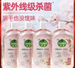 滴露（Dettol）香氛自然衣物消毒液1L*4  留香48H洗衣除汗臭 儿童玩具杀菌消毒水 实拍图