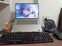 雷柏（Rapoo）V500PRO 有线背光机械键盘 104键全尺寸游戏电竞笔记本电脑多媒体办公吃鸡全键无冲键盘 黑轴 实拍图