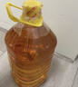 鲁花食用油 物理压榨 非转基因 玉米油6.18L 家用粮油 健康植物油 实拍图