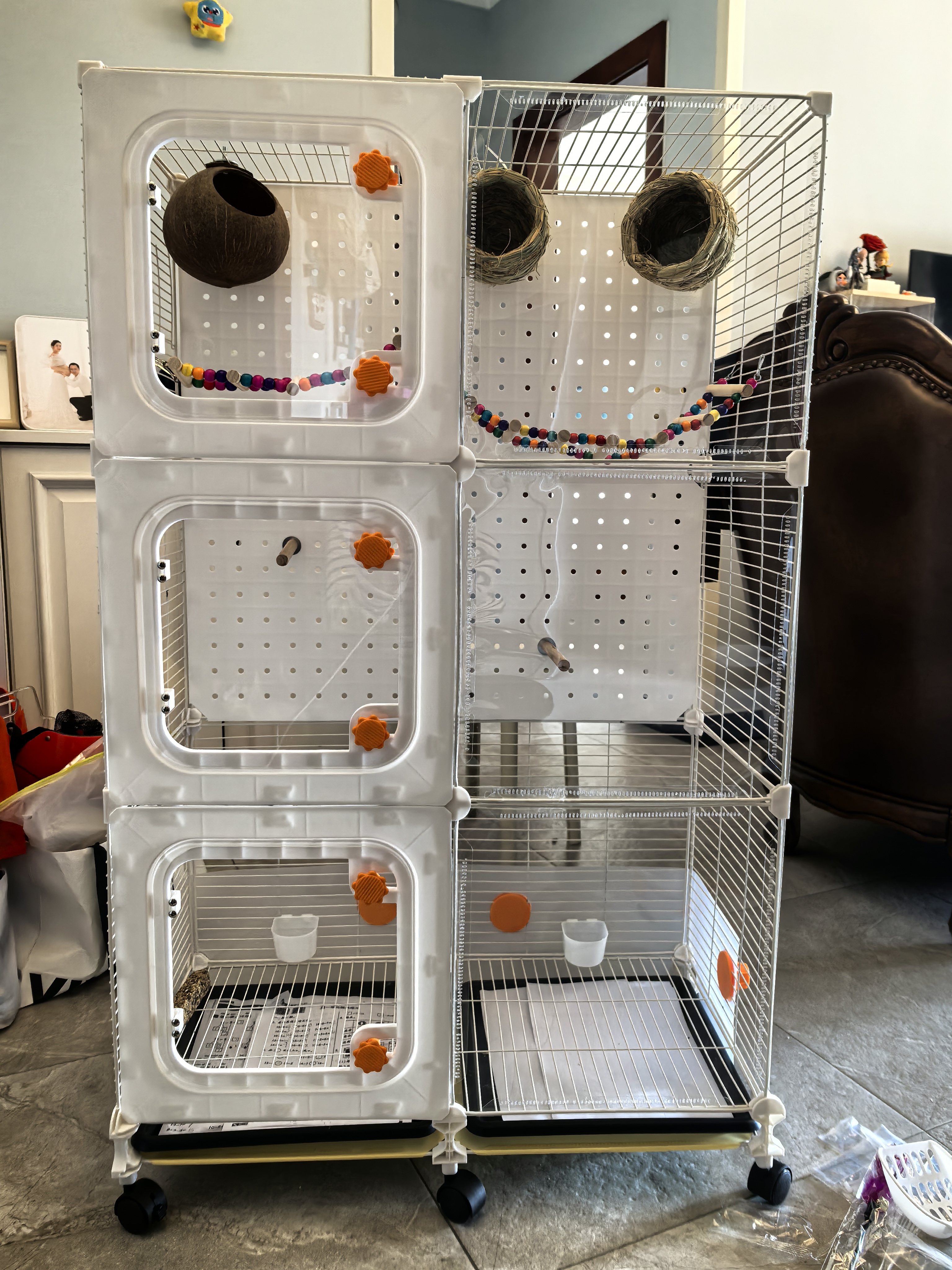 茨格曼 鹦鹉玩具8节实木软梯鸟用玩具云梯虎皮牡丹玄凤啃咬攀爬鸟笼配件 实拍图