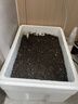 营养土养花种菜土壤有机兰花多肉植物盆栽种植椰砖土通用型 有机营养土买15斤送15斤 实拍图
