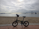 大行（DAHON）P8折叠自行车经典成人20英寸8速折叠车男女式运动单车KBC083 消光灰绿【JD定制版】 实拍图