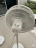 美的（Midea）【品质推荐】七叶轻音柔风电风扇/家用省电落地扇/台式电扇/广角摇头节能宿舍小型风扇 SAE35CA 实拍图