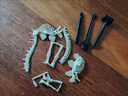 尚美贝贝儿童考古挖掘恐龙玩具模型手工diy玩具拼接石膏盲盒3-6岁生日礼物 实拍图