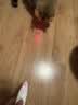 金宠仕猫咪剃脚毛器带灯脚底毛修剪器 蓝光猫藓检测激光逗猫宠物电推剪 实拍图