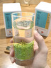 福茗源茶叶 碧螺春绿茶 花果香浓香型明前2026新茶特级春茶嫩芽罐装100g 实拍图