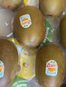佳沛（zespri）新西兰阳光金奇异果巨大果15粒礼盒 单果146-175g 猕猴桃水果礼盒 实拍图