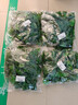 双盟仿真藤条绿萝叶婚庆节庆装饰假树叶藤蔓塑料花藤下水管道遮挡绿叶 实拍图