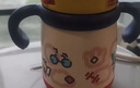 babycare儿童水杯6个月以上宝宝霸王龙不锈钢保温杯上学450ml-新旧款混发 实拍图