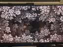 泰坦军团24.5英寸1152分区MiniLED 2K 380Hz HDR1200nits 升级DyDs0.3ms 逐台校色PS5电竞显示器P245MS PRO 实拍图