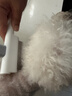 HELLOJOY猫梳子狗毛梳子宠物排梳密齿梳猫咪跳蚤梳直排狗狗专用钢梳去虱子 实拍图