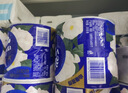 维达（Vinda）有芯卷纸 蓝色经典4层200克*27卷 山茶花香 卫生纸卷筒纸纸巾整箱 实拍图
