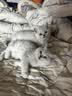 好主人金装好主人猫粮2.0 成猫幼猫蓝猫英短通用全价无谷冻干 【量贩优惠】金装幼猫粮7斤 实拍图